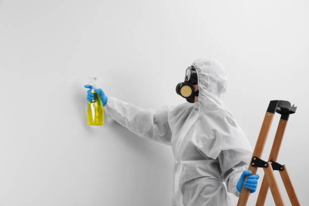 Why You Should Choose Our Mold Remediation Services in Columbia City, OR